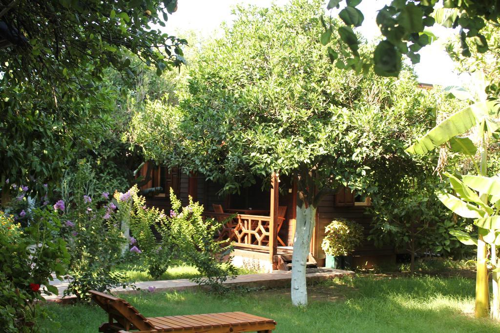 Çıralı Grand Aygun Hotel חדר תמונה