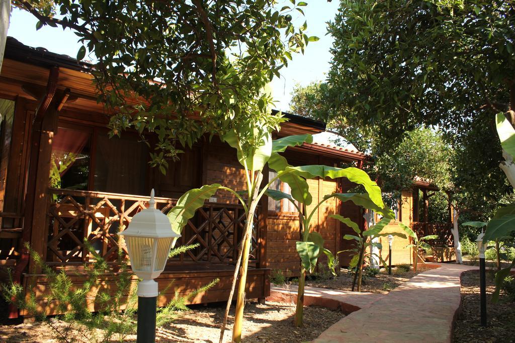 Çıralı Grand Aygun Hotel חדר תמונה