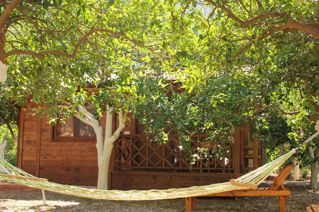 Çıralı Grand Aygun Hotel חדר תמונה