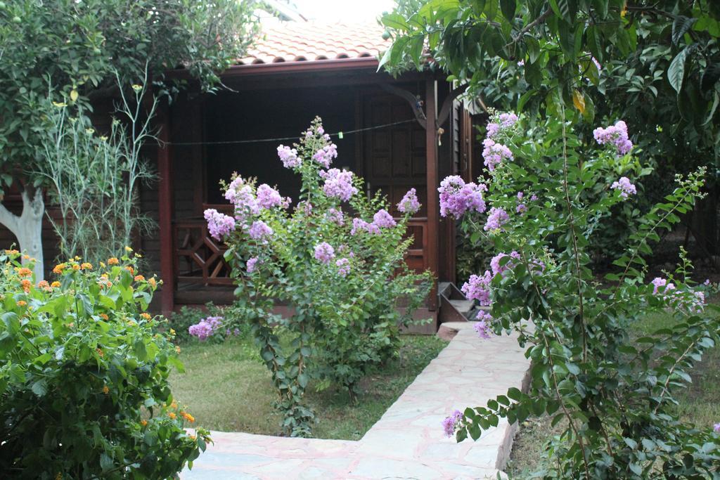 Çıralı Grand Aygun Hotel חדר תמונה