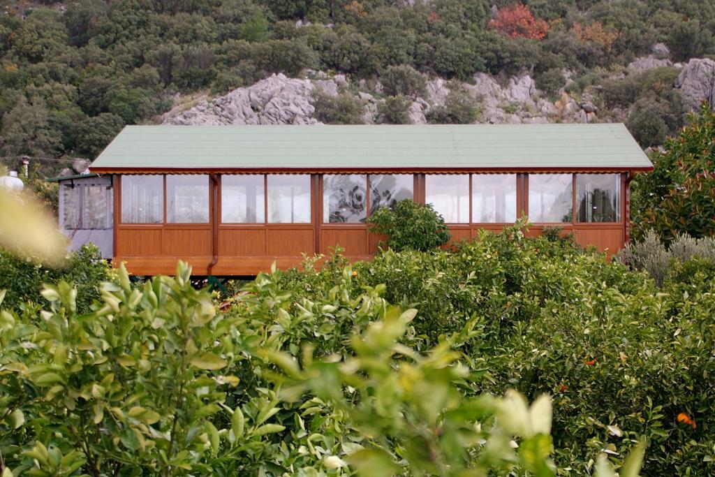 Çıralı Grand Aygun Hotel מראה חיצוני תמונה